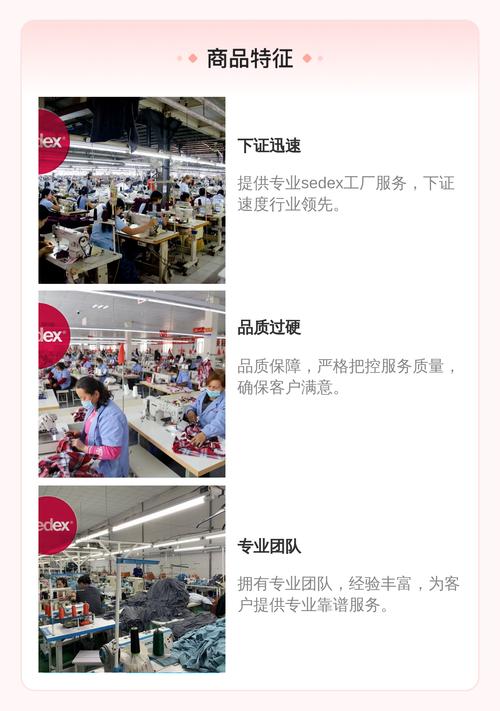 超网企业管理咨询 sedex工厂服务 下证速度快 品质过硬